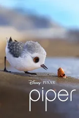Chim Non Piper