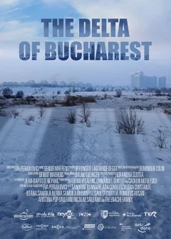 Đồng Bằng București