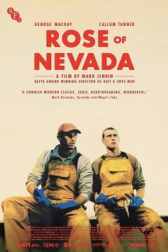 Hoa Hồng Nevada