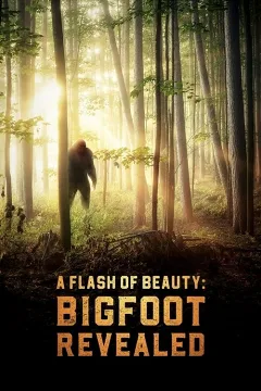 Một Thoáng Bí Ẩn: Sự Thật Về Bigfoot