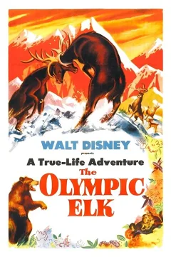 Nai Rừng Olympic