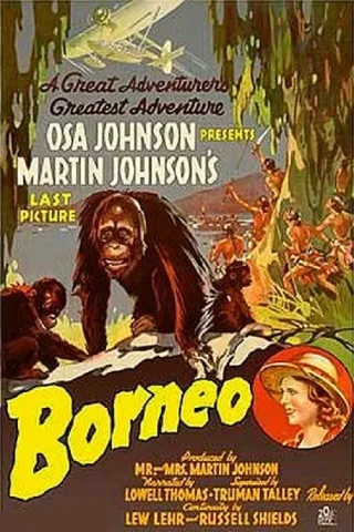 Borneo: Bí Ẩn Rừng Sâu