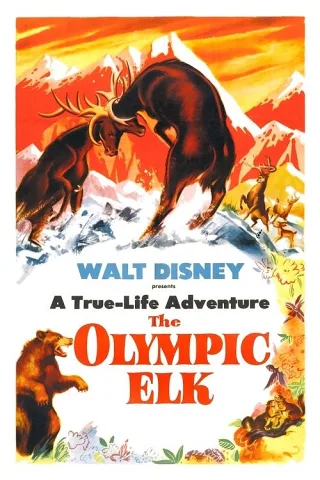 Nai Rừng Olympic